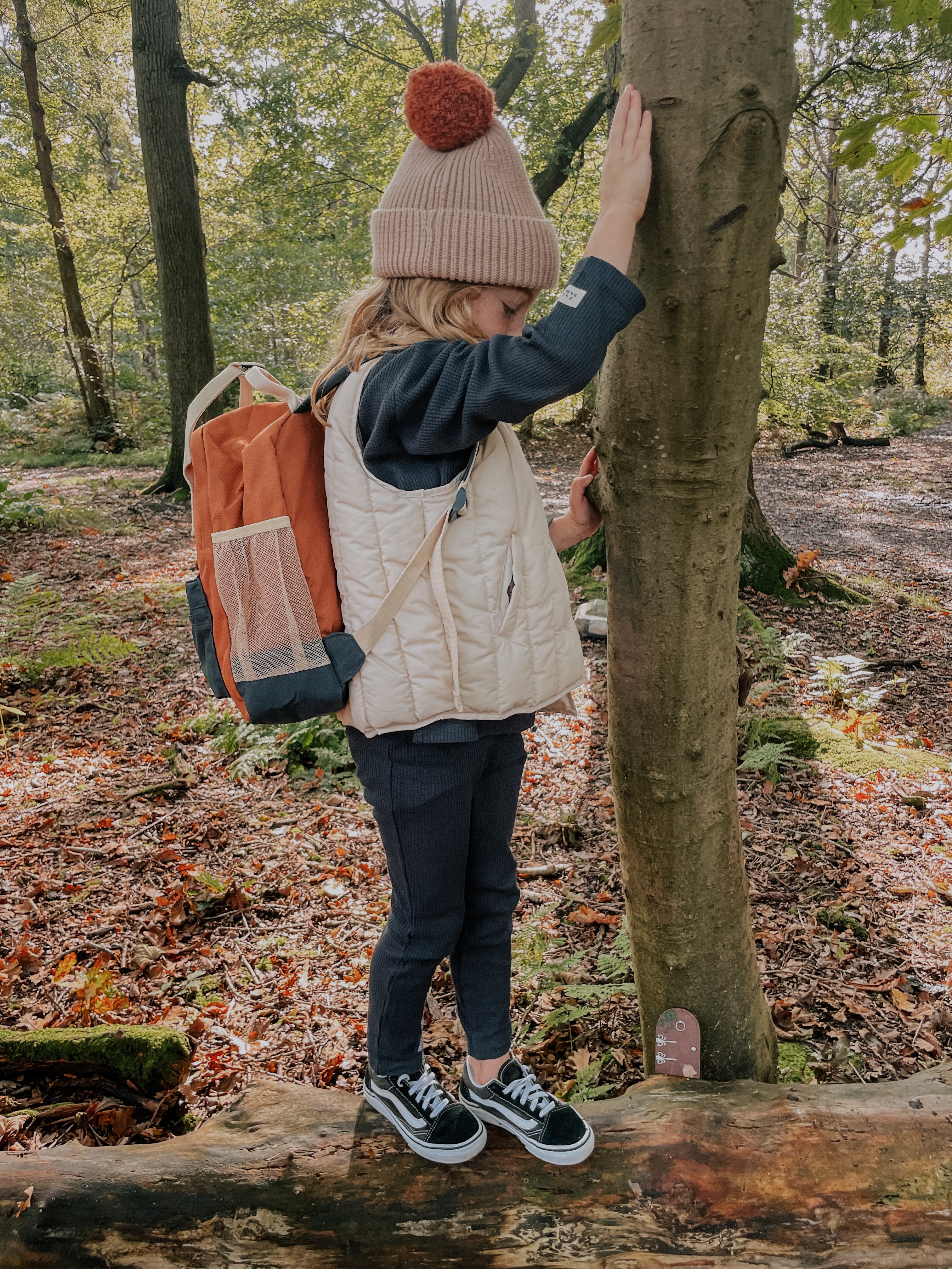 Sustainable hiking online backpack